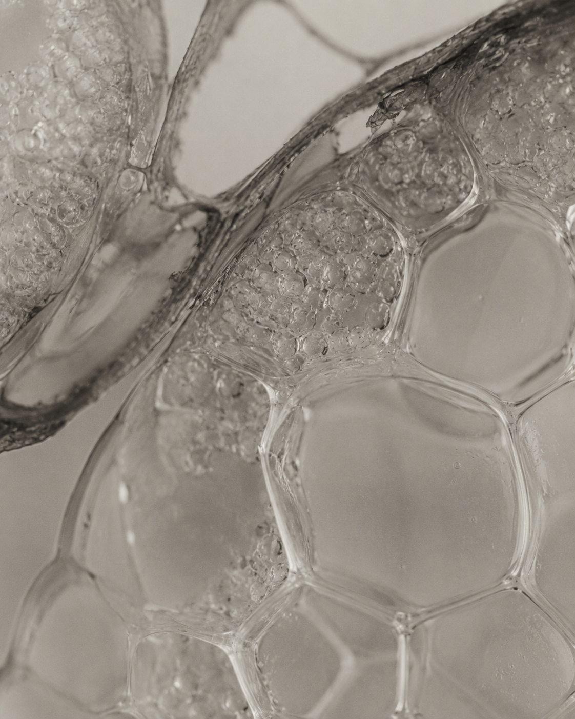 Macro close-up of translucent honeycomb-like cells with soft gray and white tones, resembling glass or wax structures.